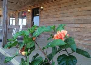 Ole Country Bakery front July 2015