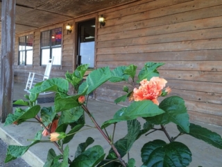 Ole Country Bakery front July 2015